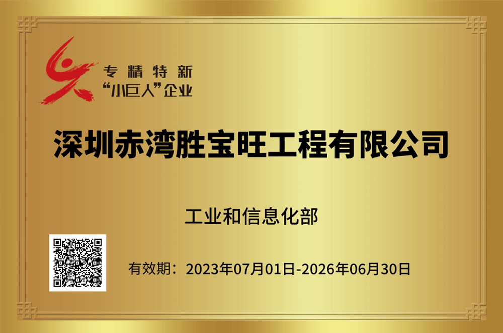 CSE awarded National Specialized Innovative "Little Giant" Enterprise Title